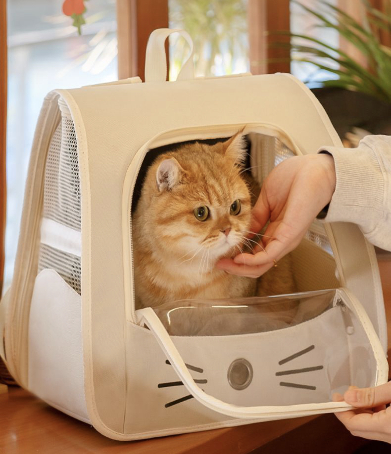 Folding Cat Backpack for Travel, Hiking, and Everyday Use - Double Shoulder Pet Carrier Bag Free shipping