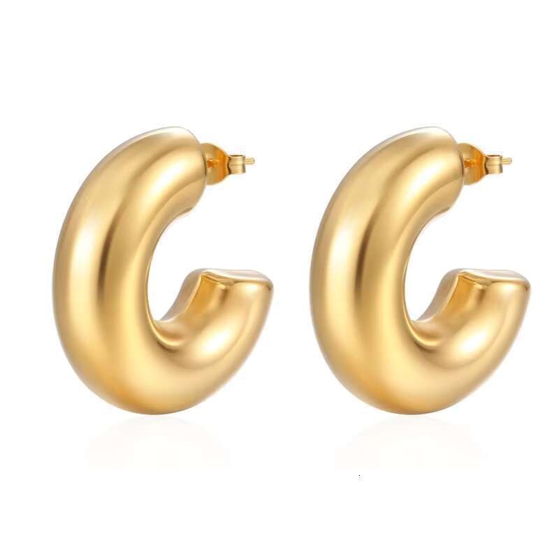 DHcollection 14k Thick Gold Hoop Anti Allergic Earrings, Women's Twisted Ring Earrings Gift