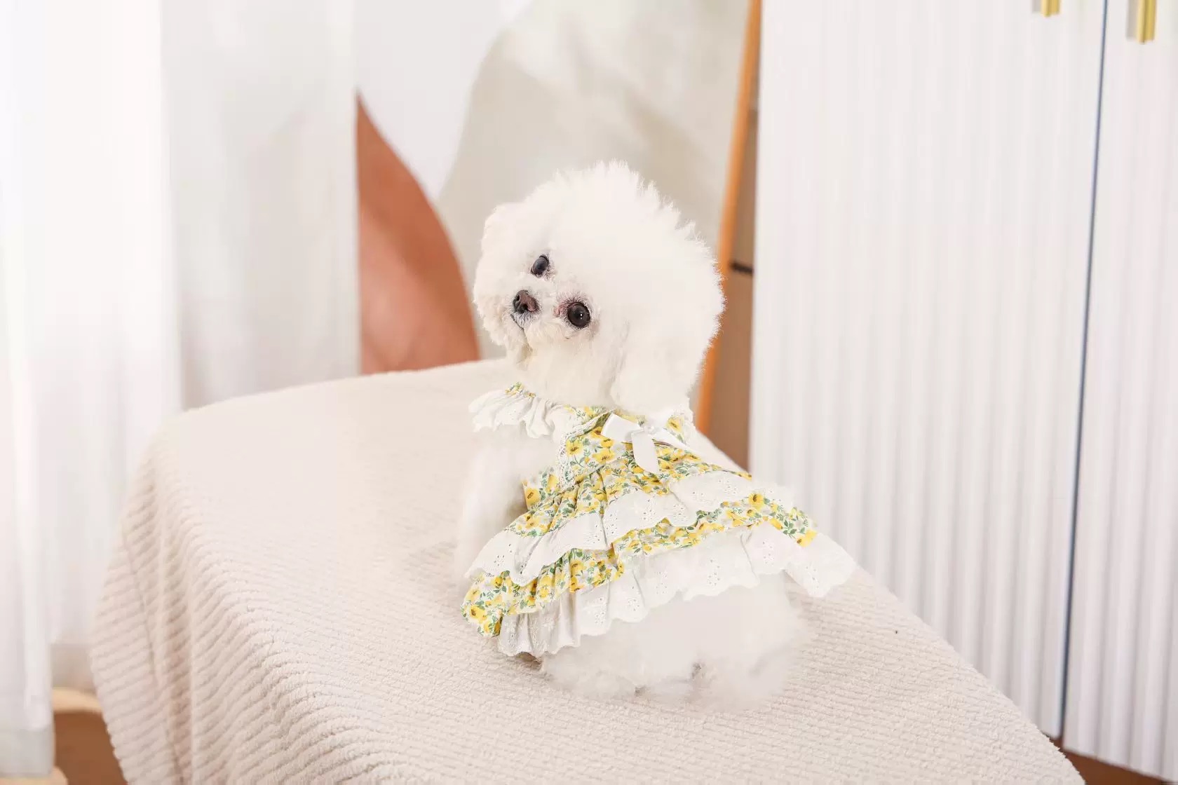 T0001Cotton dress spring and summer new pet clothes Teddy Bichon Pomeranian small dog cat princess dress