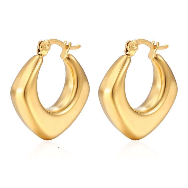 DHcollection 14k Thick Gold Hoop Anti Allergic Earrings, Women's Twisted Ring Earrings Gift