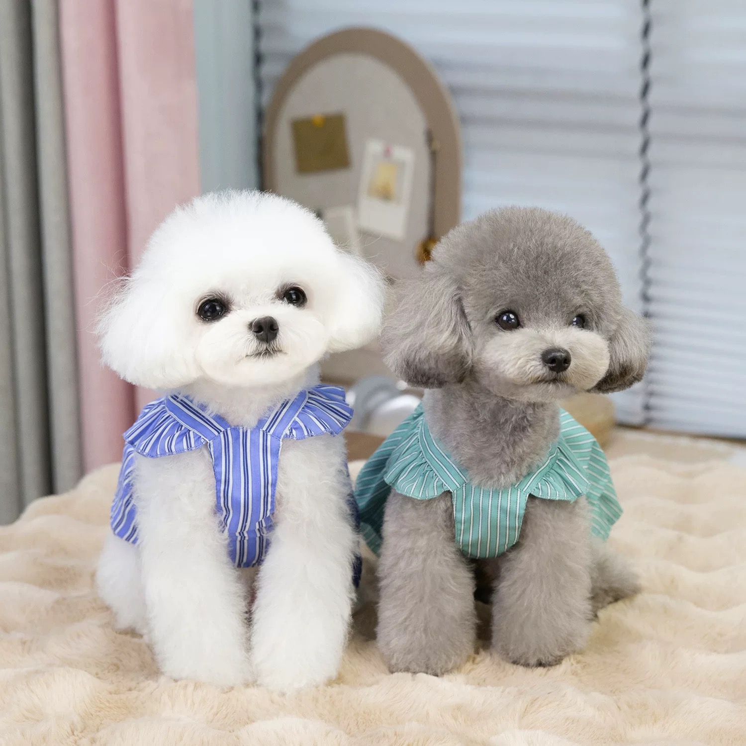 T0010Spring and summer pet skirt sun protection and insect repellent cute dog clothes can pull Pomeranian small and medium-sized dog pet clothes