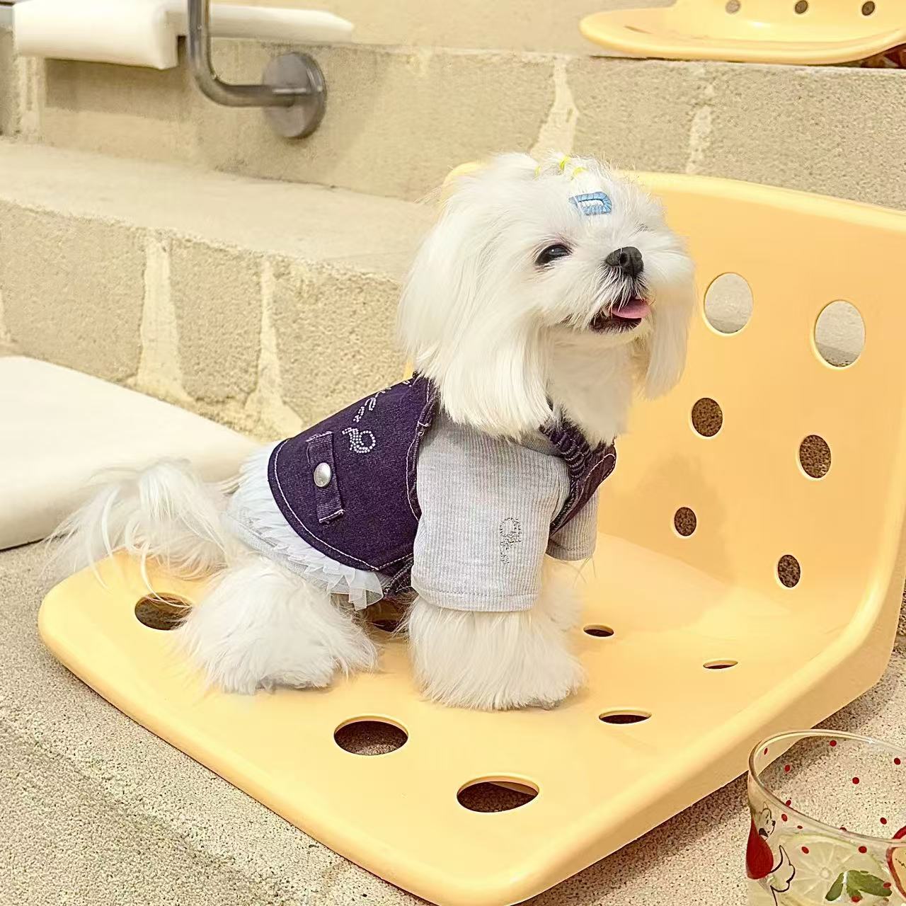T0014Miffy Rabbit Dog Clothes Spring and Autumn Teddy Bichon Small Dog Waffle Maltese Cat Pet Clothes Summer