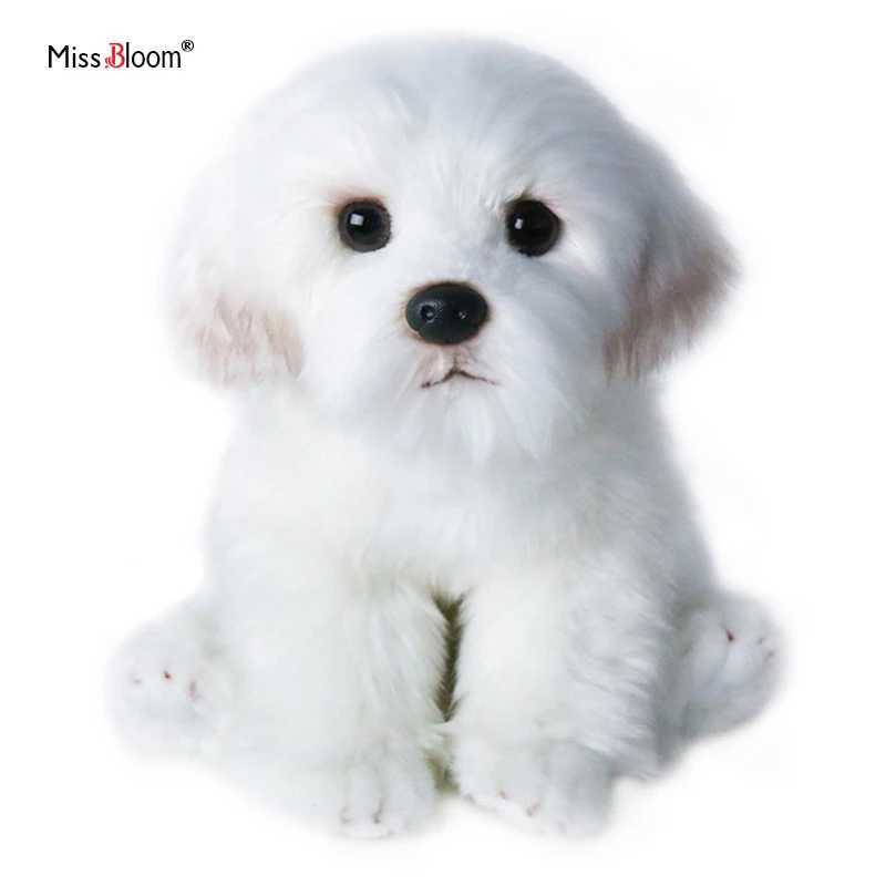 Maltese Stuffed Dog Dolls Plush Toy Cute Simulation Pets Fluffy Baby Birthday Gifts Christmas Children Malzis Puppy Dropshipping G251120