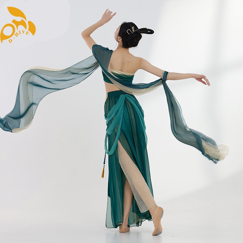 Women Dress D.Hive classical dance costumes practice costumes Chinese style Chinese dance performance costumes multi-piece skirts