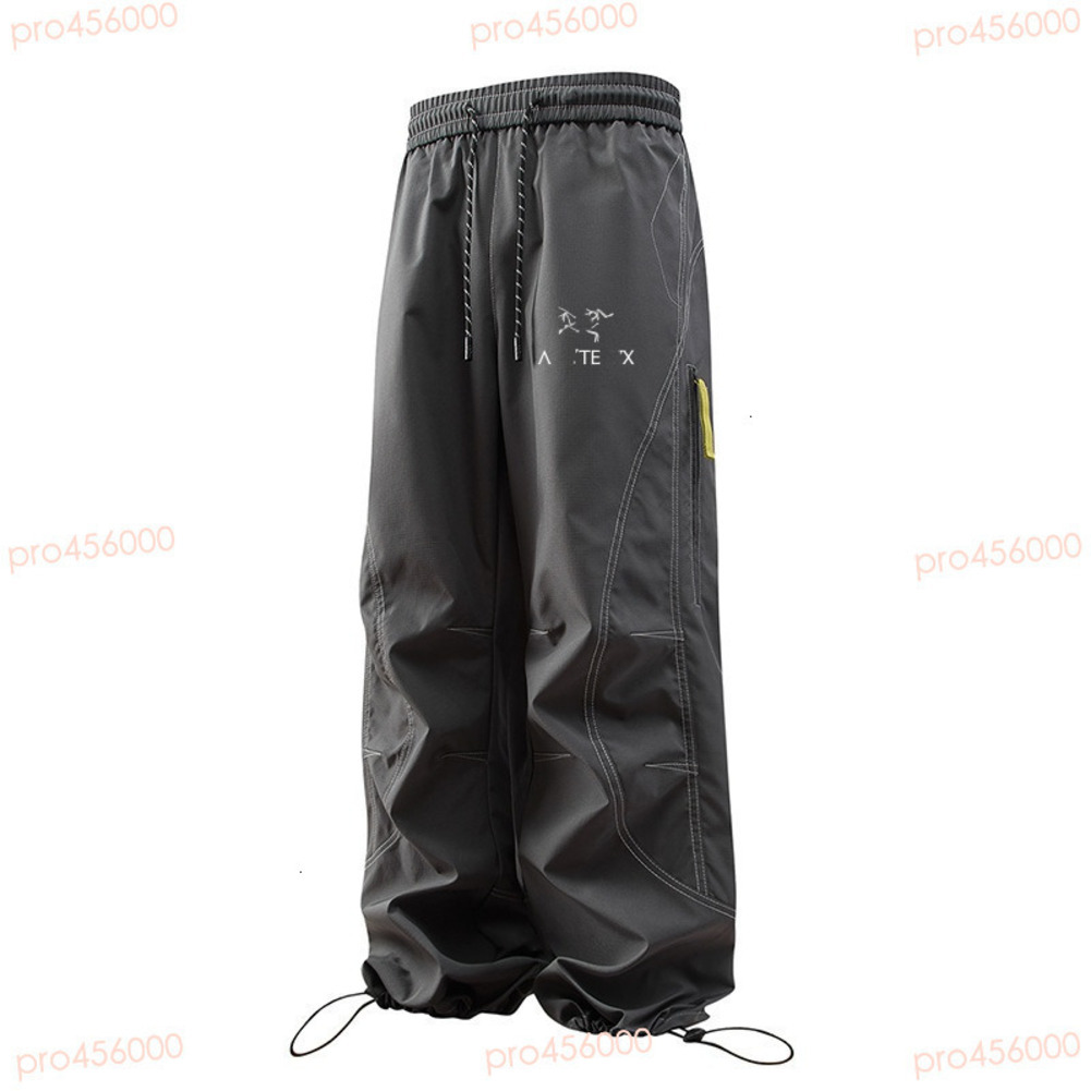 Arcteryly Pant Desi… - image