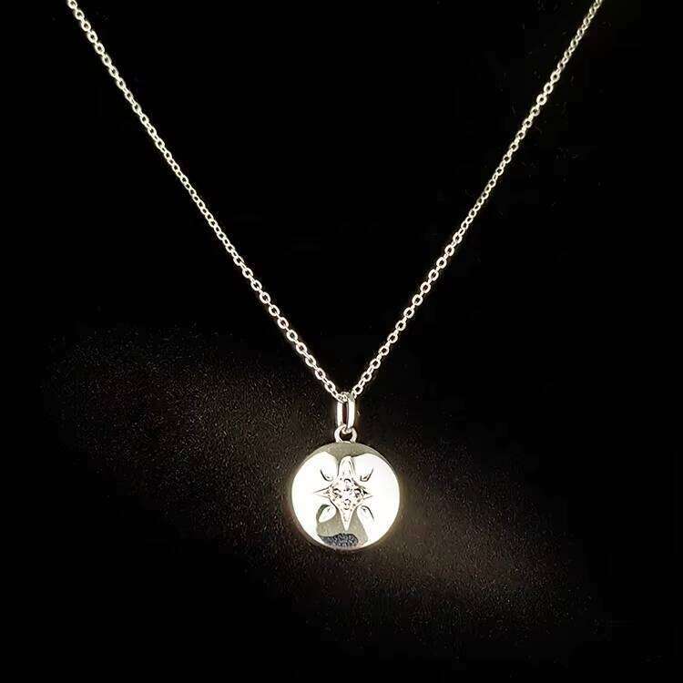 Premium Jewelry Pure Sier Galrming VVS Moissanite Pendant Star Coin Disc Collarbone Necklace Unisex Girl
