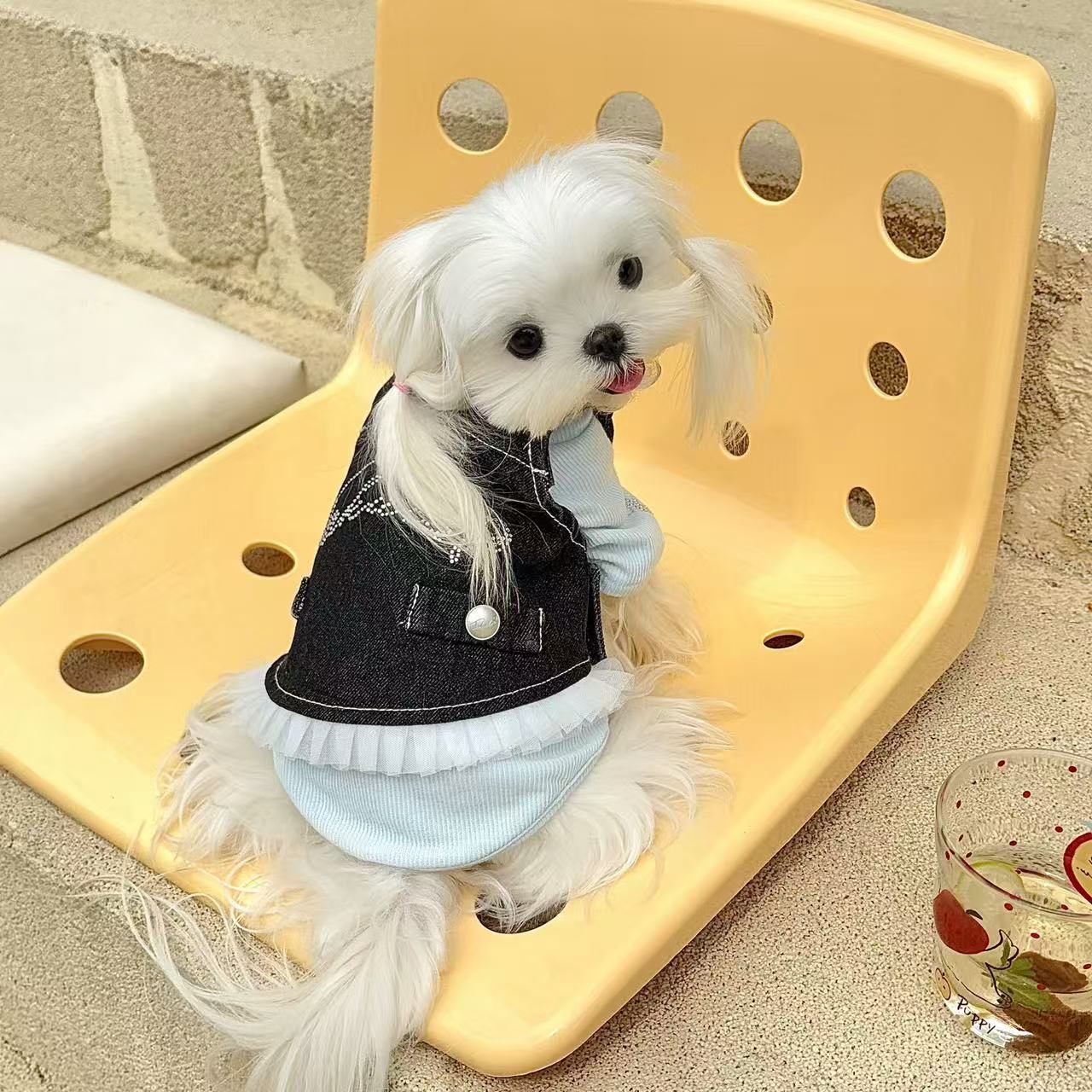 T0014Miffy Rabbit Dog Clothes Spring and Autumn Teddy Bichon Small Dog Waffle Maltese Cat Pet Clothes Summer