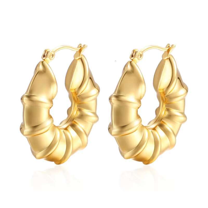 DHcollection 14k Thick Gold Hoop Anti Allergic Earrings, Women's Twisted Ring Earrings Gift