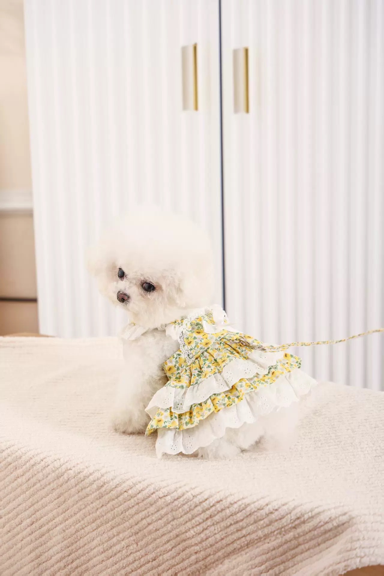 T00290 Spring and Summer Dog Clothes Shirt Vest Dress Pet Maltese Schnauzer Yorkshire Teddy Bichon Pomeranian
