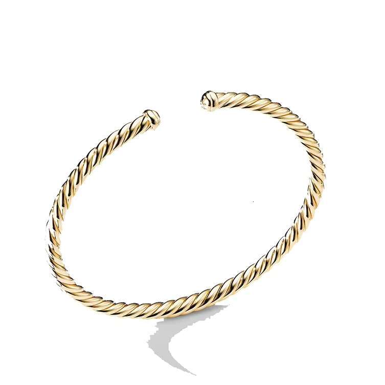 14K gold stone Vermeil pure sier designer brand women's boutique jewelry cable spiral twisted bracelet