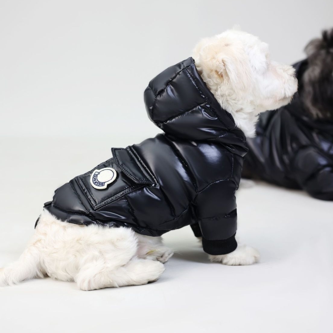 Shiny Puffer Dog Jacket with Hood for Maltese, Poodle & Small Medium Breeds, Warm Down Pet Coat, Stylish Zipper Dog Puffer Jacket, Cozy Cold-Proof Dog