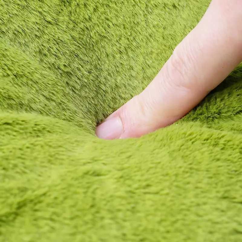 Japanese Creative Siesta for Home Ornament Cute Cartoon Raccoon Cushion Red Panda Plush Doll Creative Home Ornament C251121