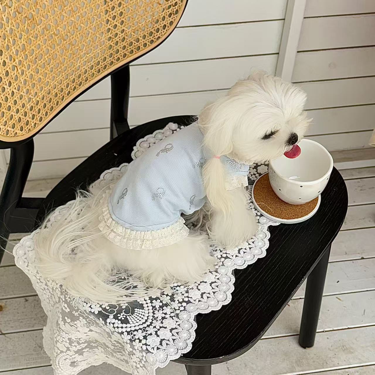 T0027Light luxury romantic atmosphere Heavy-duty hot diamond lace T Maltese small and medium-sized dog summer clothes