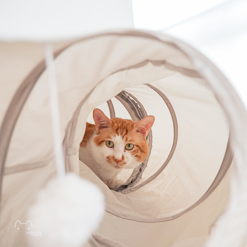 Interactive Hideaway Tunnel Set - Essential Accessory for Indoor Cats