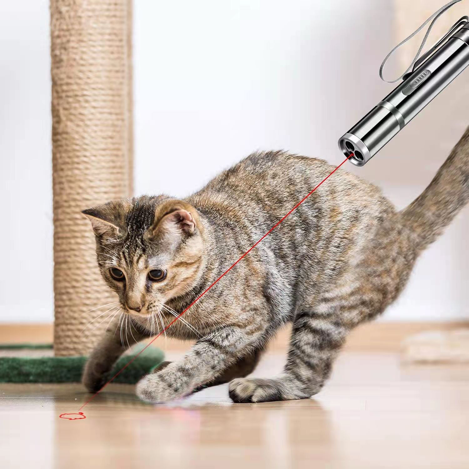 Cowjag Cat Toys, Laser Pointer with 5 Adjustable Patterns, USB Recharge Laser, Long Range and 3 Modes Training Chaser Interactive Toy, Dog Laser Toy