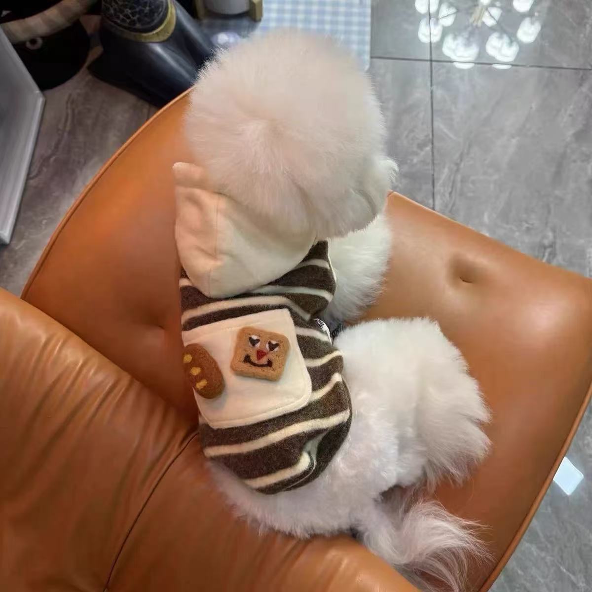 T2399 Pet Autumn/Winter Warm Sleeveless Sweatshirt, Cute Felt Clothes for Maltese and Schnauzer, Hooded Sweatshirt