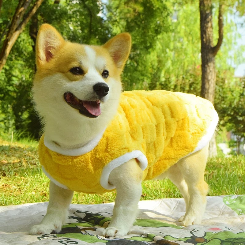 T0034Corgi Shiba Inu Teddy Dachshund Dog Clothes Autumn and Winter Anti-hair Shedding Vest Medium-sized Dog Anti-dirty Warm Plush Vest