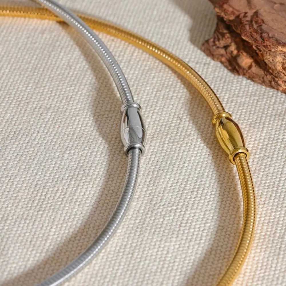 Minimalist Retro Curved Tube Snake Bone Chain Collar Stainless steel Necklace for Women French Exaggerated Futuristic JewelryXJ251121