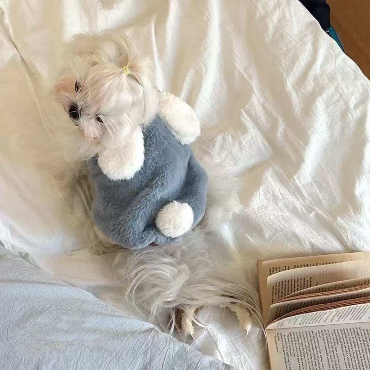 T2398 Pet Rabbit, Dog, and Cat Clothes, Autumn/Winter Fleece-Lined Comfortable Warm Thick Clothes for Little Mayo Chow and Shih Tzu