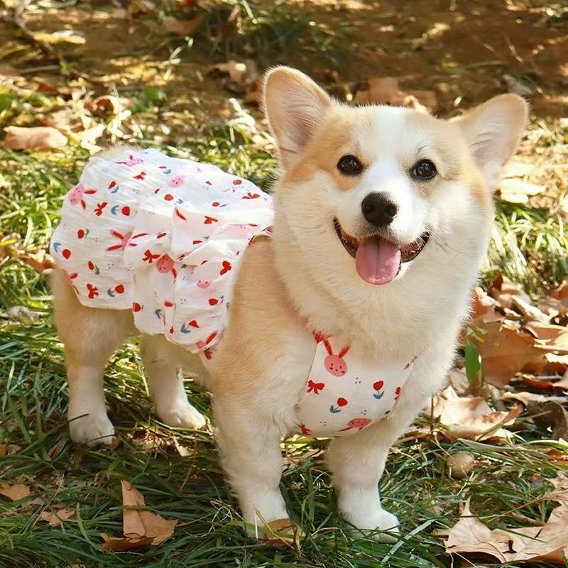 T0035Corgi Shiba Inu Teddy Dachshund Dog Clothes Autumn and Winter Anti-hair Shedding Vest Medium-sized Dog Anti-dirty Warm Plush Vest