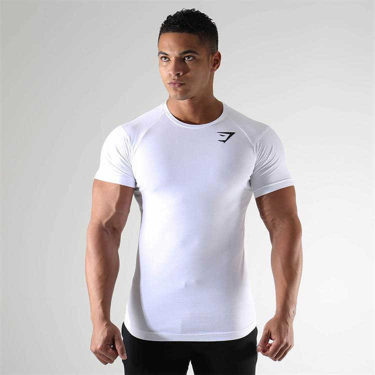 2023 Men's short-sleeved cross-border trend Men's T-shirt Summer New sports short-sleeved quick-drying clothes training breathable tight-fit