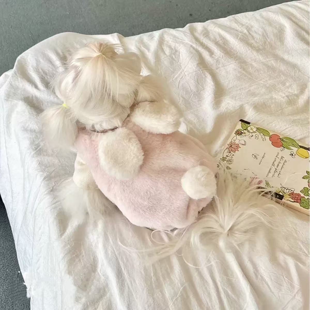 T2398 Pet Rabbit, Dog, and Cat Clothes, Autumn/Winter Fleece-Lined Comfortable Warm Thick Clothes for Little Mayo Chow and Shih Tzu