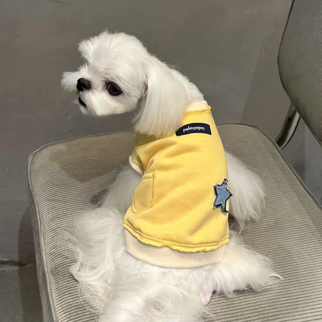 T0048Autumn and winter small dog four-legged clothes with traction Teddy Bichon Schnauzer pet small dog special cloth label