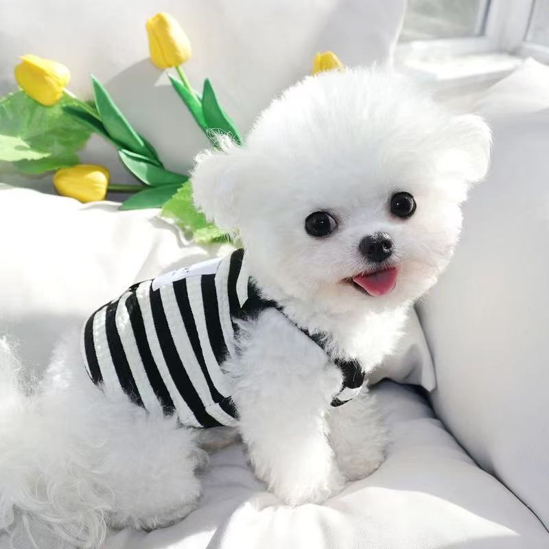T0040Pet Teddy Panda Schnauzer Pomeranian Teddy Dog Clothes Autumn and Winter Denim Vest Leash
