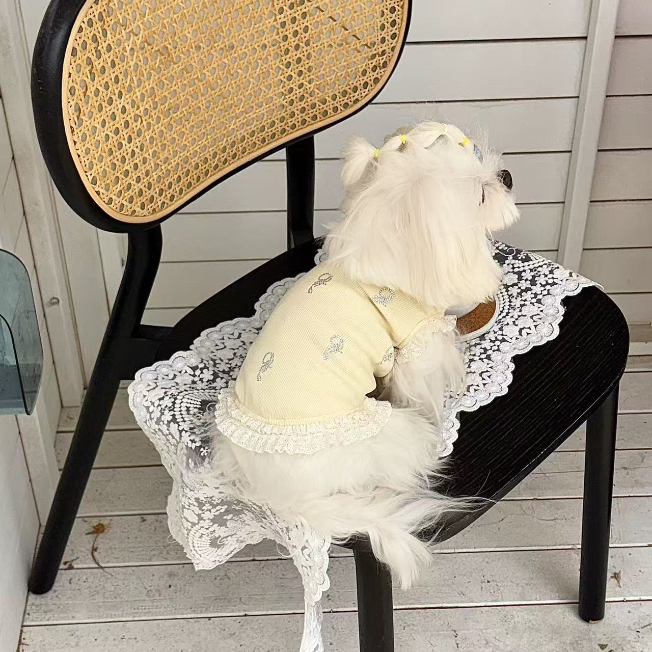 T0027Light luxury romantic atmosphere Heavy-duty hot diamond lace T Maltese small and medium-sized dog summer clothes