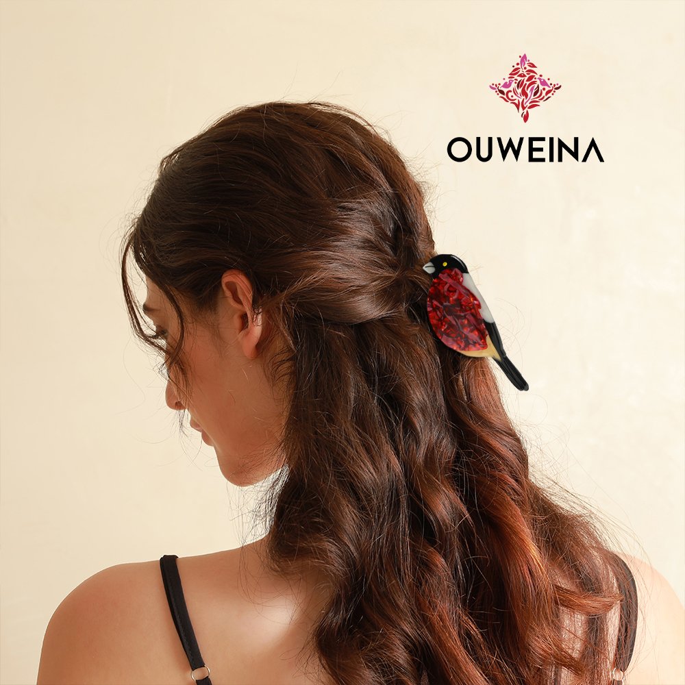 Personalized niche acetate clip original design style red bellied gray finch DW00340 cute animal hair accessories high ponytail clip