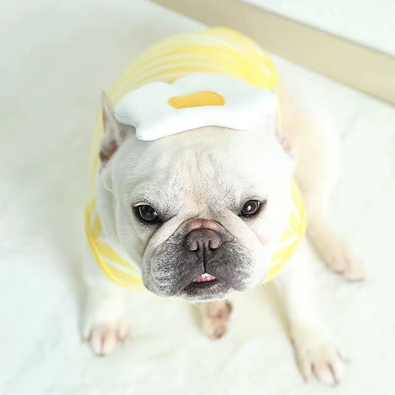 T0046Spring and Summer Pet Clothing Cats and Dogs Internet Celebrity White Flame LOGO Bowknot Sleeveless Sweatshirt