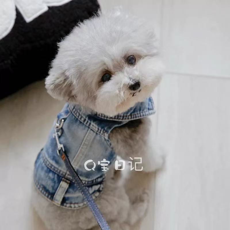 T0041Summer new dog clothes vest thin cool breathable pet pug french bulldog bichon vest summer cute
