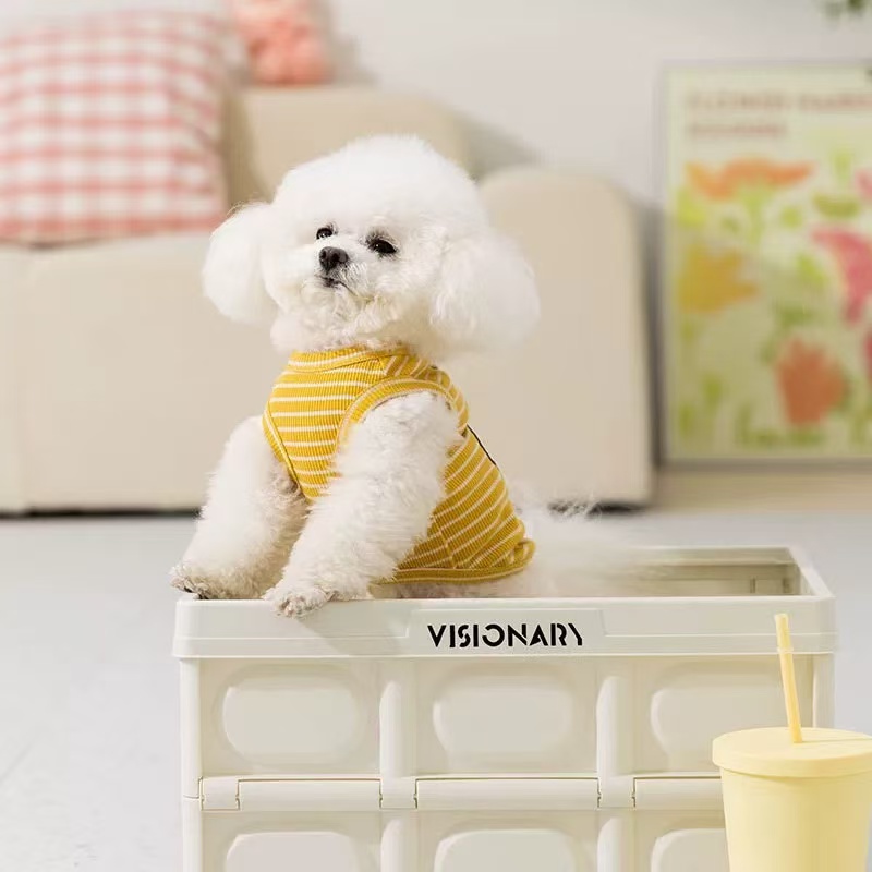 T0030Spring and summer thin dog clothes Teddy Bichon cartoon vest for small and medium dogs Pomeranian pets 2025 new