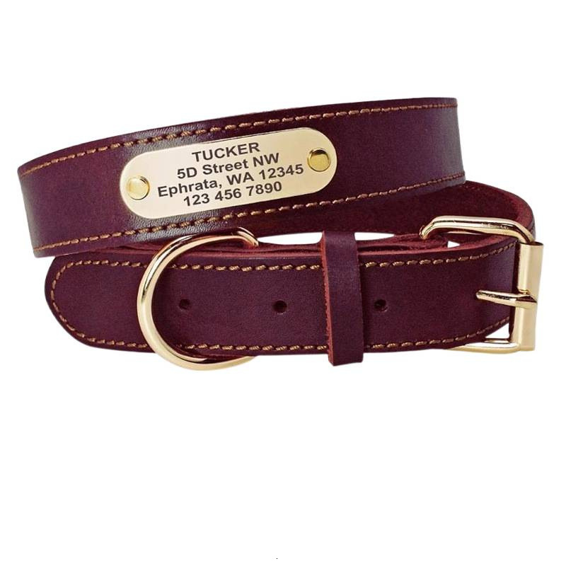Personalized Dog Collar And Leash Set Real Leather Pet Collars Dogs Walking Lead Leash for Small Large Dogs Pitbull XXS-XL 240921