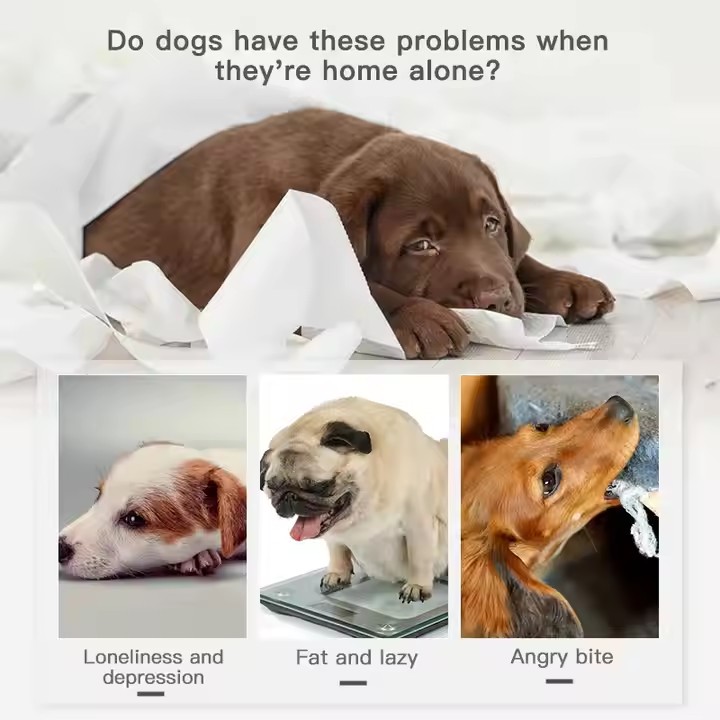 3 Pack Dog Toys with Squeakers, Plush Teething Toys to Keep Them Busy, Stuffing Crinkle Interactive Dog Animals, Cute Funny Dogs Gifts for Small Mediu