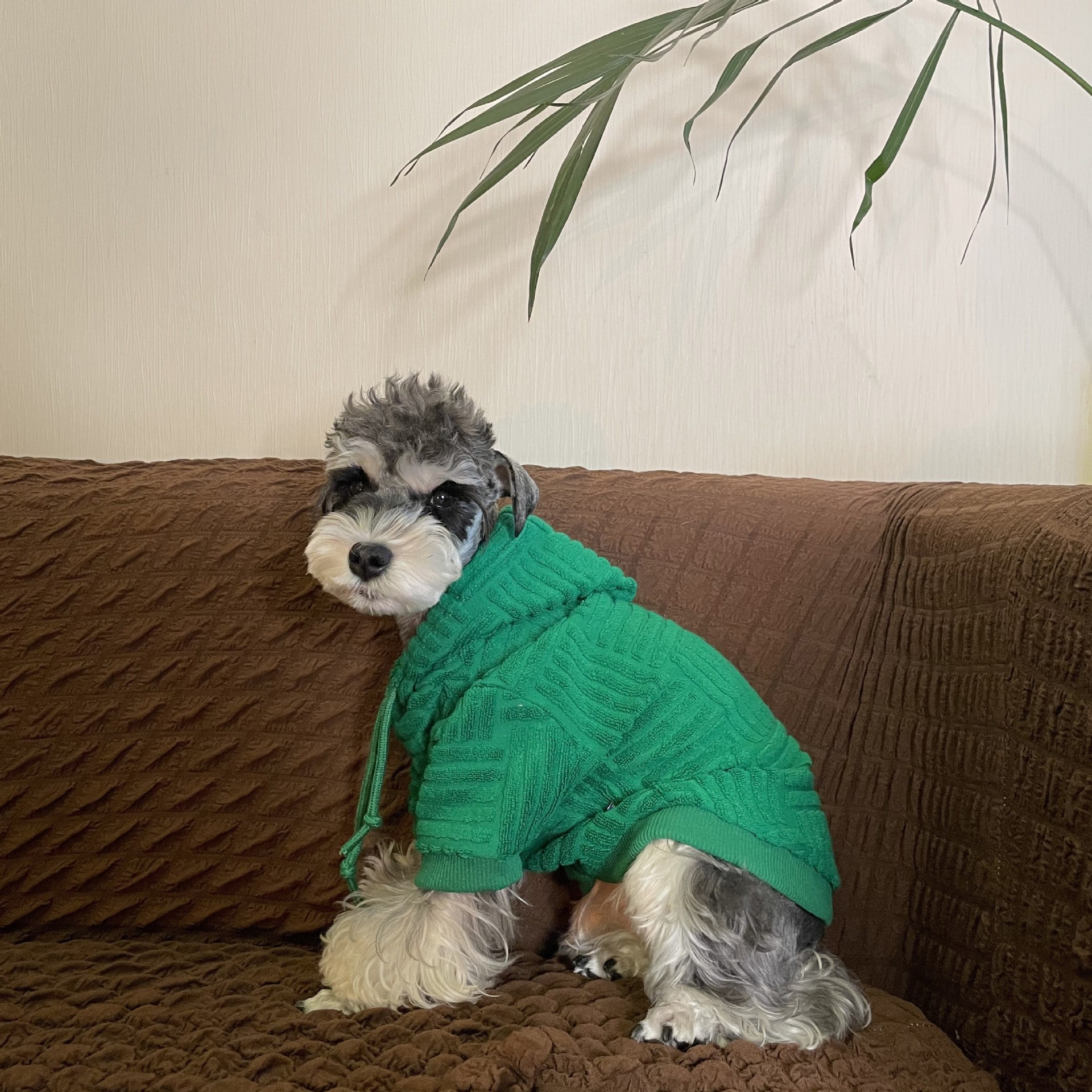 Green Striped Dog Hoodie, Premium Dog Sweater Pullover, Fashion Dogs Coats Soft Comfy Cotton Pet Clothes Hoodies with Hat for Schnauzer Poodle Bichon 