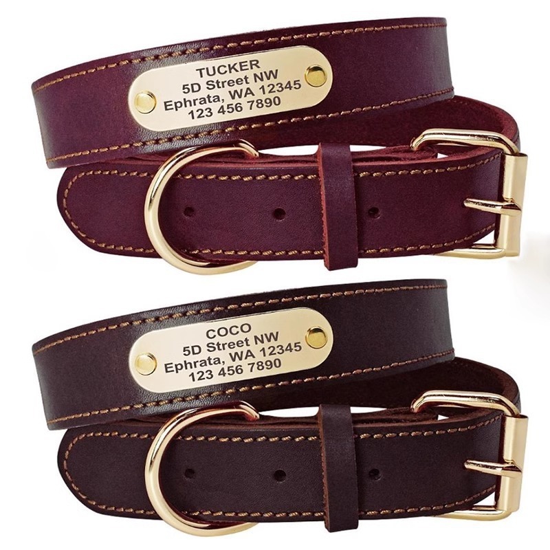 Personalized Dog Collar And Leash Set Real Leather Pet Collars Dogs Walking Lead Leash for Small Large Dogs Pitbull XXS-XL 240921