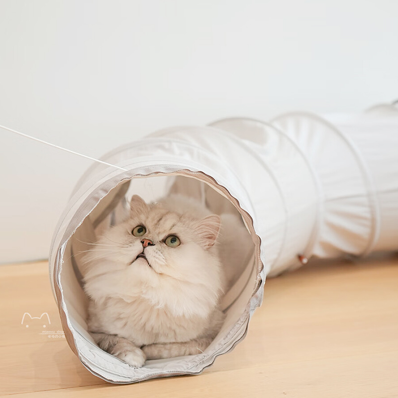 Interactive Hideaway Tunnel Set - Essential Accessory for Indoor Cats