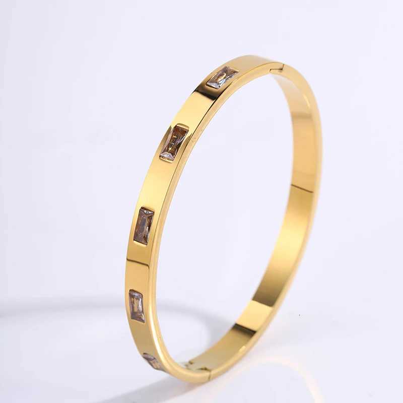 Gold Plated Designer Jewelry Stainless Steel Bangle Bracelet Accessories for Women Womens Bracelets Woman Bangles 2025 TrendW251121