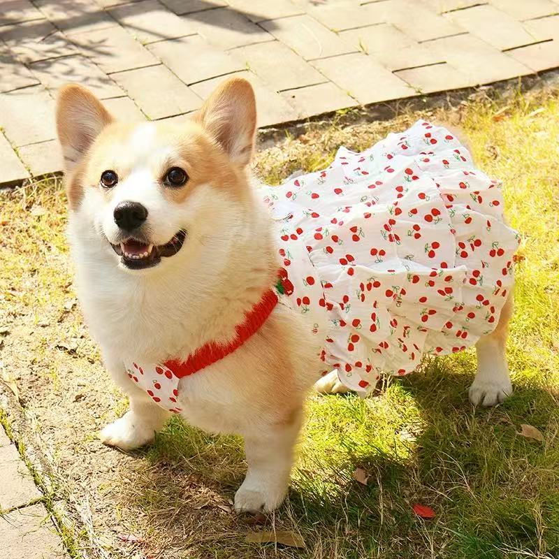 T0035Corgi Shiba Inu Teddy Dachshund Dog Clothes Autumn and Winter Anti-hair Shedding Vest Medium-sized Dog Anti-dirty Warm Plush Vest