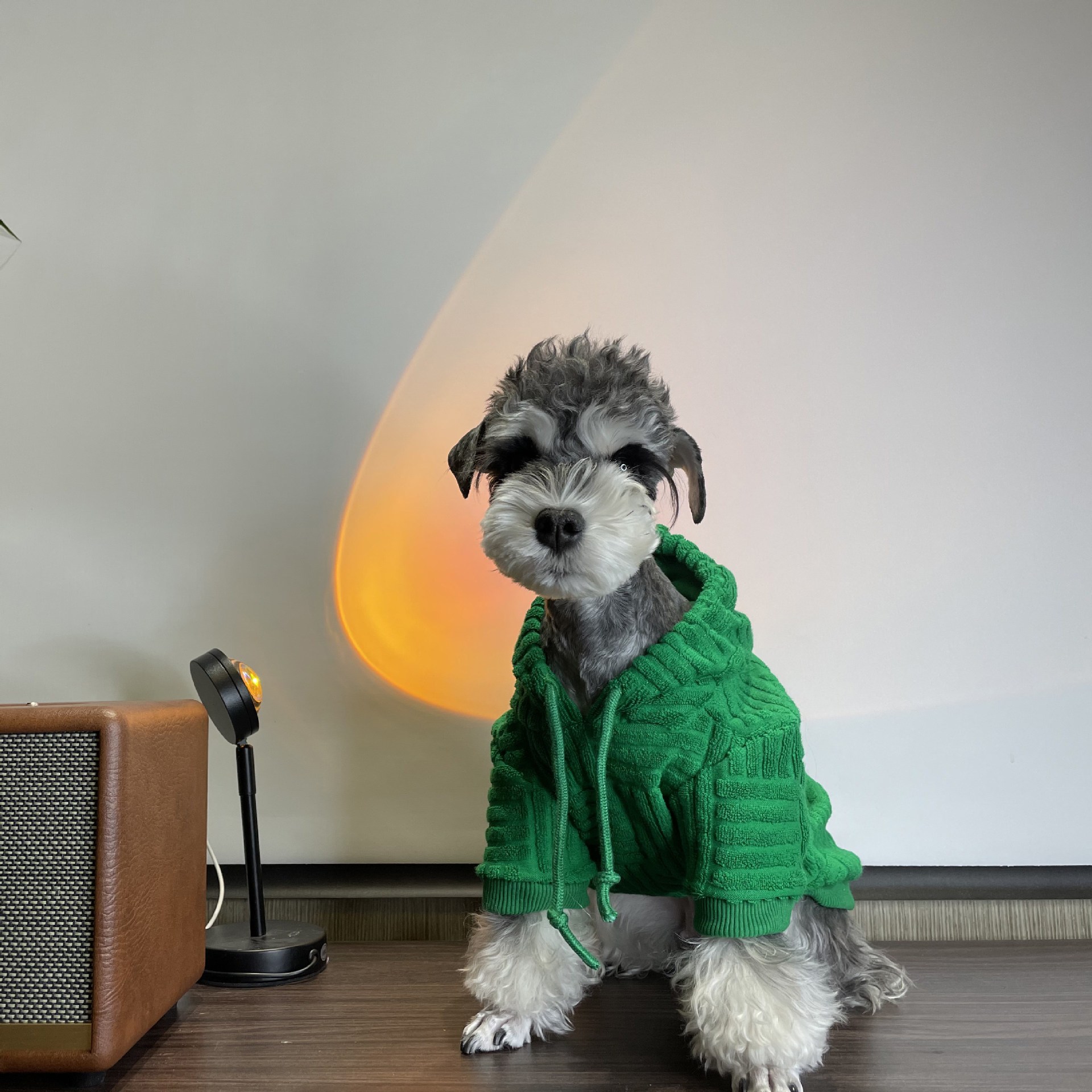 Green Striped Dog Hoodie, Premium Dog Sweater Pullover, Fashion Dogs Coats Soft Comfy Cotton Pet Clothes Hoodies with Hat for Schnauzer Poodle Bichon 