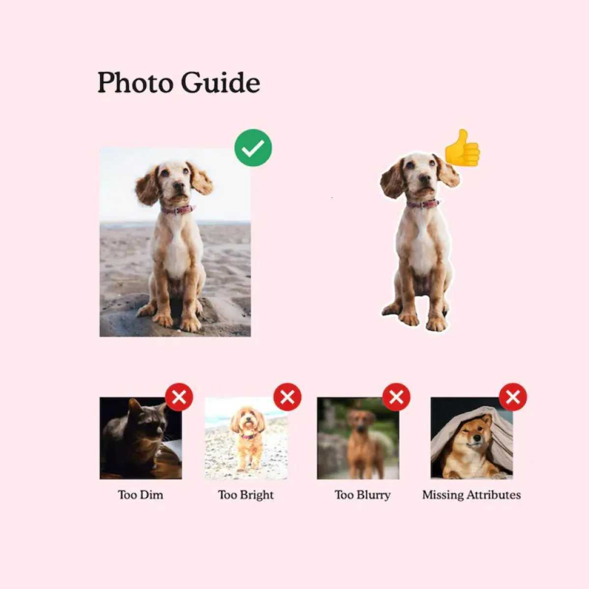 Hilariously Personsed Ugly Pet Photo Custom Cushion Cover Home Furnishing with Soft PP Filling Custom Pet DIY Pranks C251121