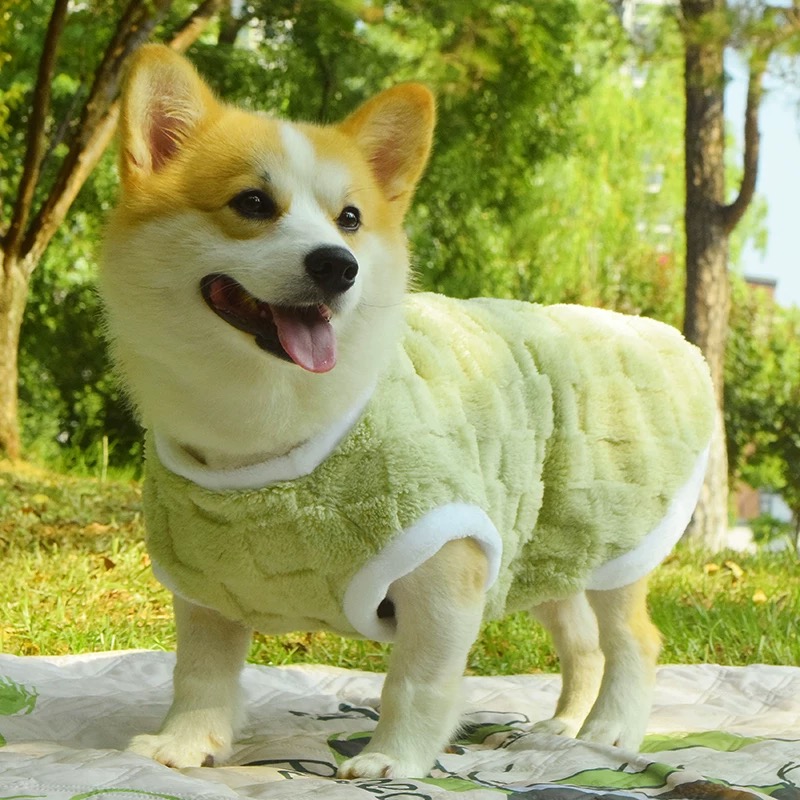 T0034Corgi Shiba Inu Teddy Dachshund Dog Clothes Autumn and Winter Anti-hair Shedding Vest Medium-sized Dog Anti-dirty Warm Plush Vest