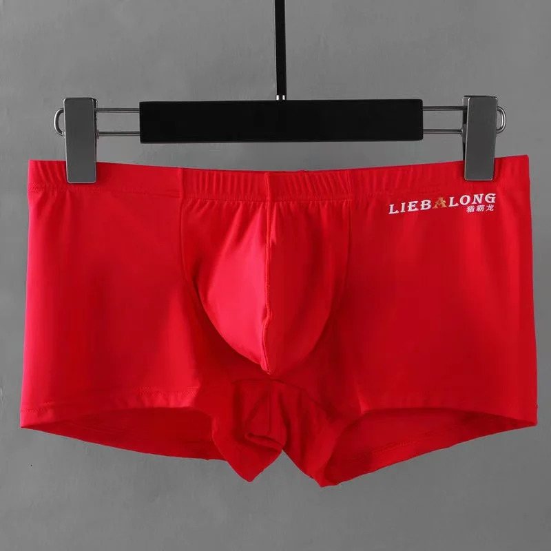 Long protruding Ushaped bag sexy lingerie elephone nose boxer mens soft and comfortable transparent shorts ice silk 250417