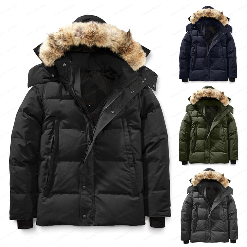 Designer puffers men down jackets winter puffer Wynd ham warm for man jacket outdoor fur hooded parka homme outerwear coats black grey white