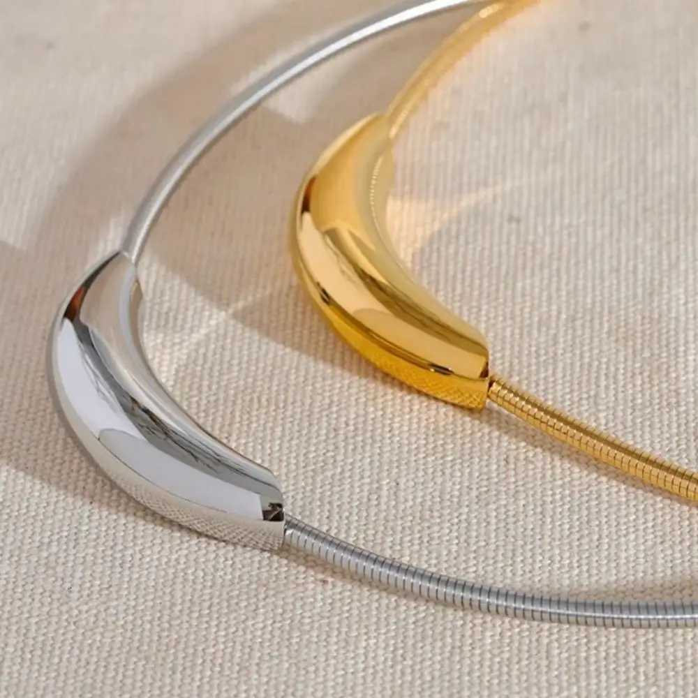 Minimalist Retro Curved Tube Snake Bone Chain Collar Stainless steel Necklace for Women French Exaggerated Futuristic JewelryXJ251121
