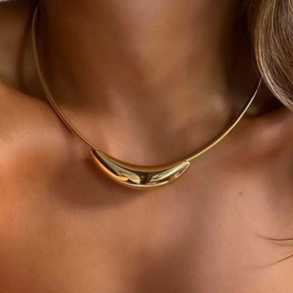 Minimalist Retro Curved Tube Snake Bone Chain Collar Stainless steel Necklace for Women French Exaggerated Futuristic JewelryXJ251121