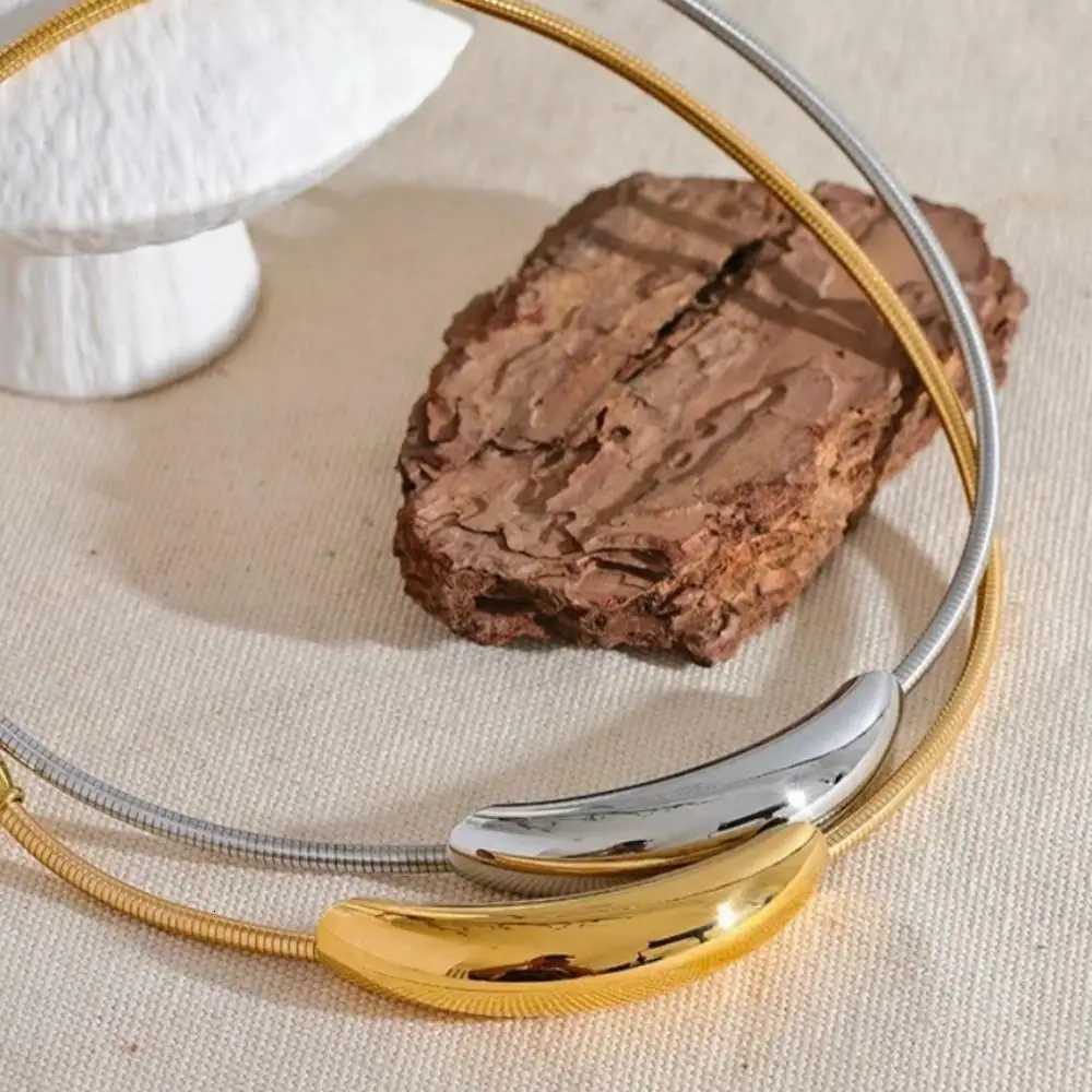 Minimalist Retro Curved Tube Snake Bone Chain Collar Stainless steel Necklace for Women French Exaggerated Futuristic JewelryXJ251121