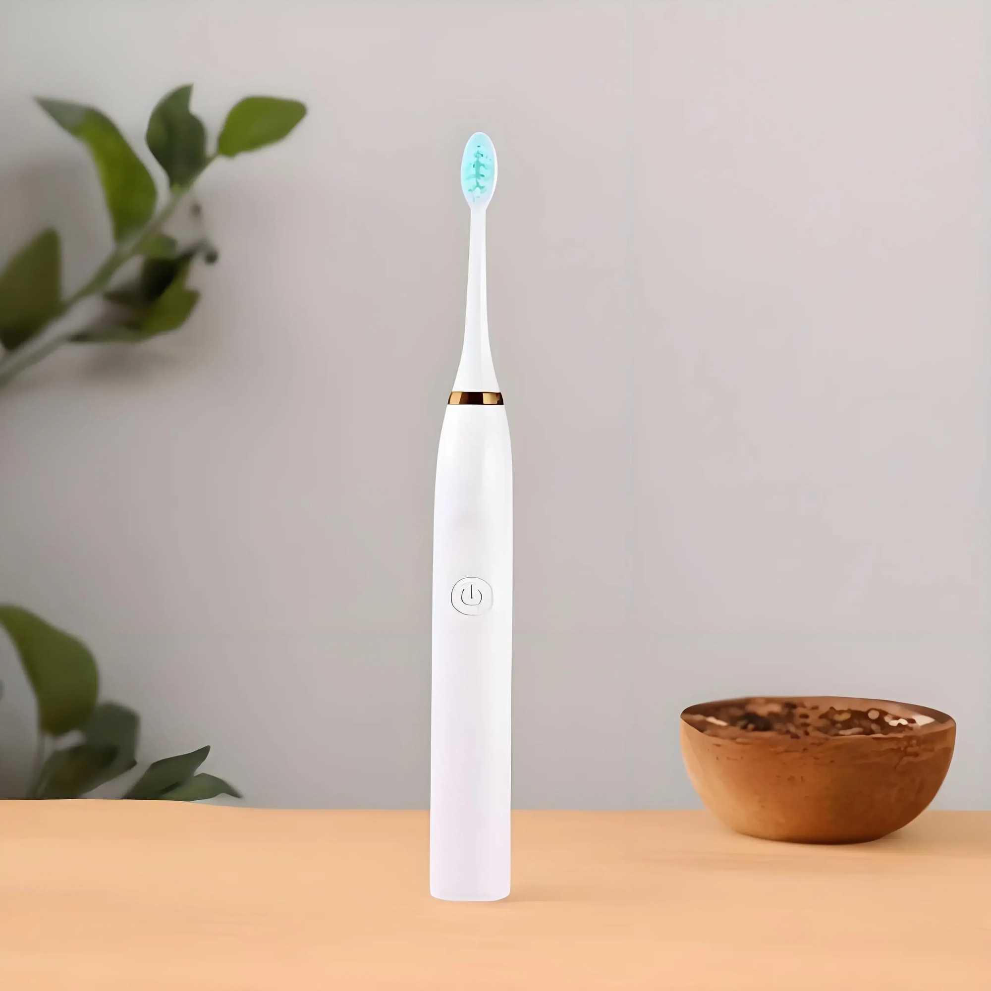 Electric Toothbrush For Teeth Brushes Sonic Vibration Dental Tooth Whitening Cleaner USB Rechargeable Oral Care Toothbrush C251121