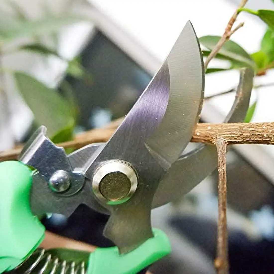 Horticultural Scissors Gardening Shears Professional Pruner Bird Beak Hand Clippers Household Pruning Picking Fruit Tools J251121